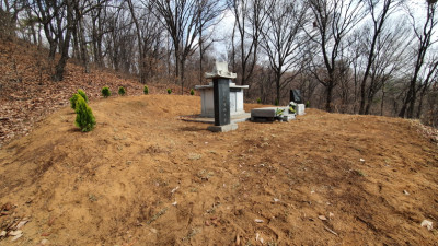 인천 묘지보수 및 나무식재