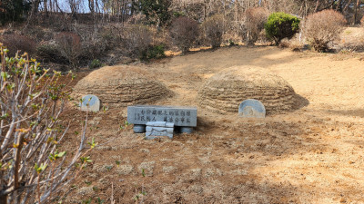 전북 임실군 묘지 사초