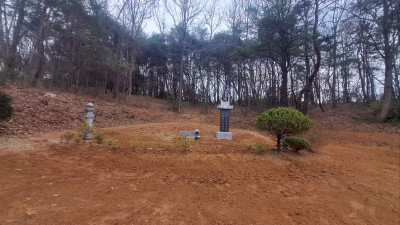 강원 춘천시 서면 묘지 사초