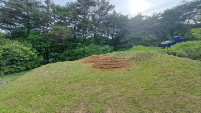 충북 괴산군 청천면 분묘보수