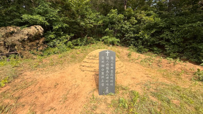 경기 시흥시  묘지사초