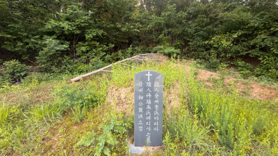 경기 시흥시  묘지사초