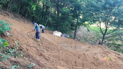 경기 안성시 묘지조성