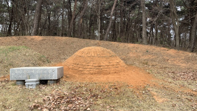 전북 정읍시 소성면 묘지사초