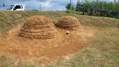 충남 예산군 묘지 사초