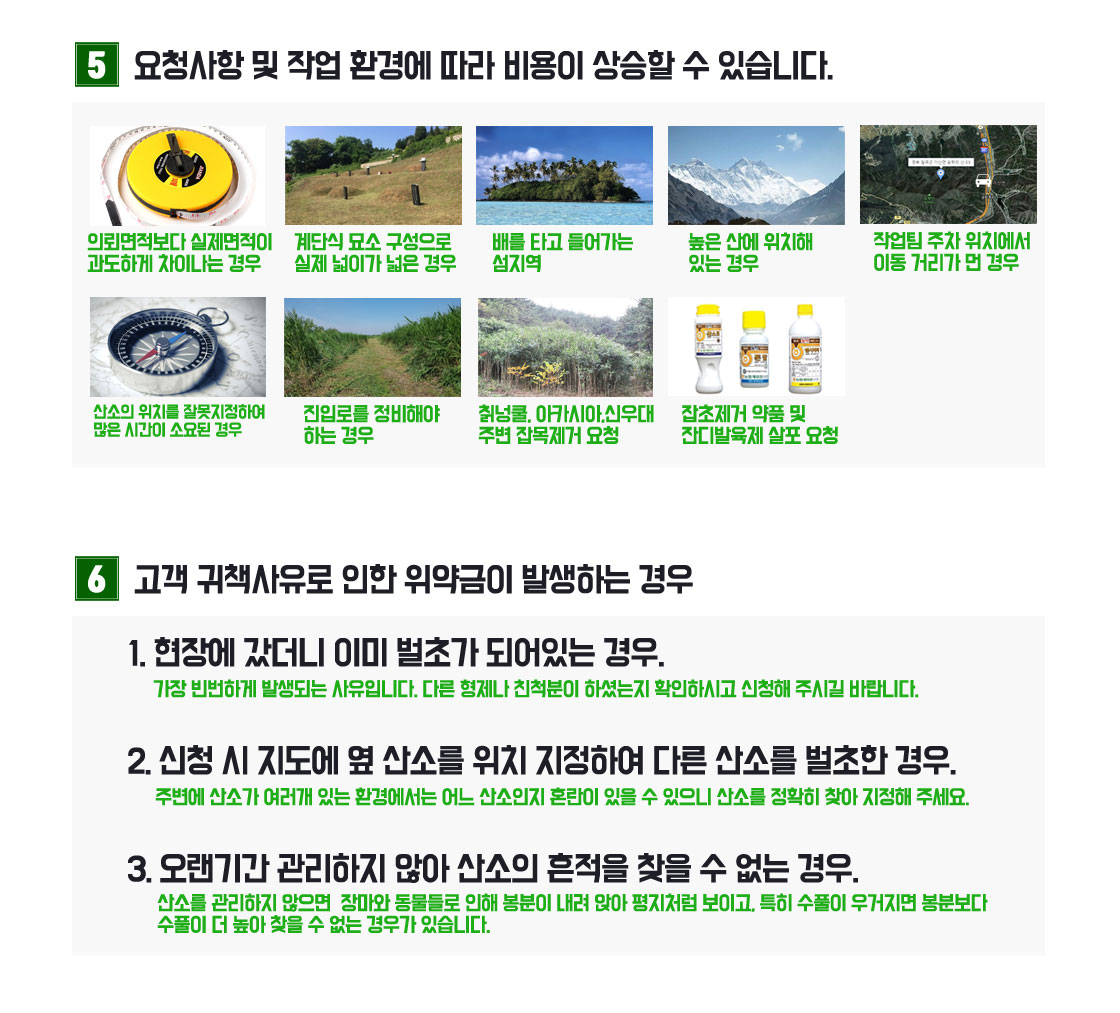 벌초