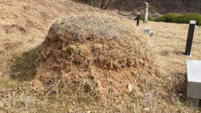 충남 서산시 팔봉면 분묘보수