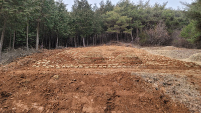 전남 장성군 묘지사초작업