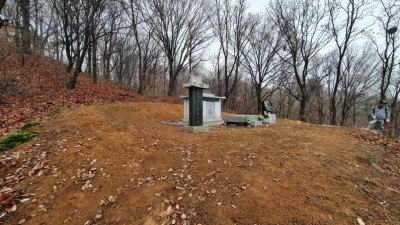 인천 묘지보수 및 나무식재