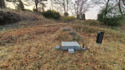 경기도 파주 묘지 사초