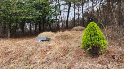 전남 장성군 사초작업