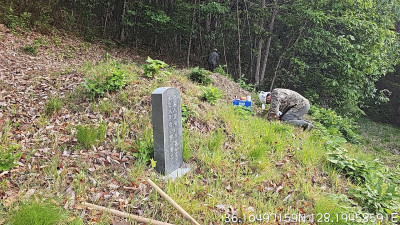 경북 김천시 사초작업