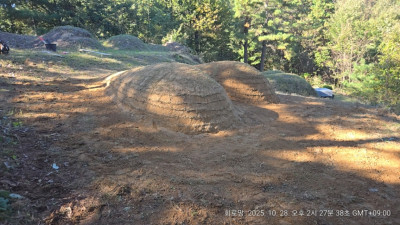 경북 구미시 사초작업