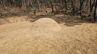 경북 영덕군 묘지 사초 작업