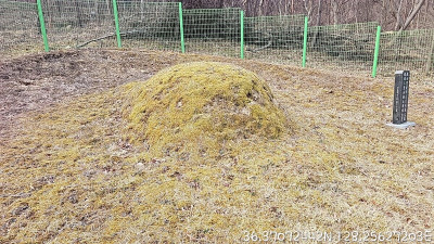 경북 상주시 묘지 사초