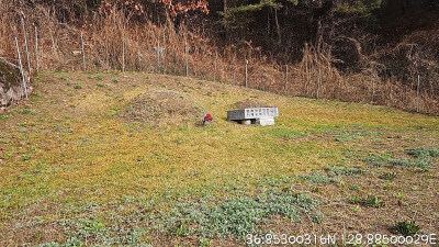 경북 봉화군 묘지 사초