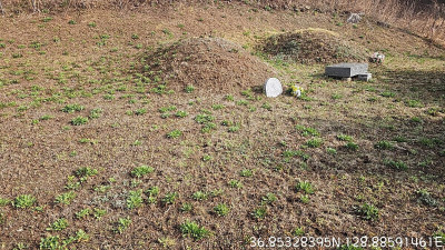 경북 봉화군 묘지 사초