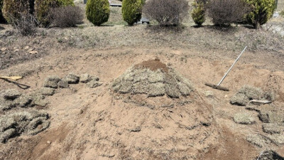 경기 파주시 묘지 사초