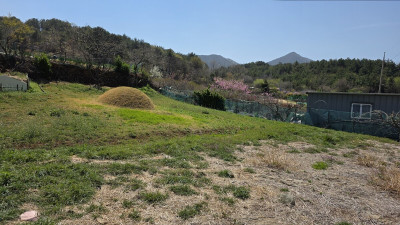 전남 여수시 묘지 사초작업