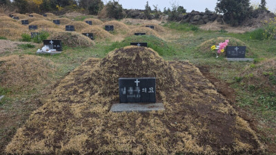 제주 제주시 묘지 사초