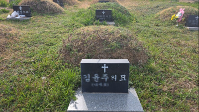 제주 제주시 묘지 사초