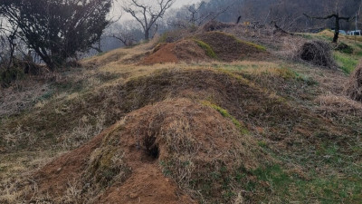 충북 충주시 분묘 보수