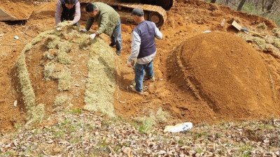 충북 충주시 분묘보수