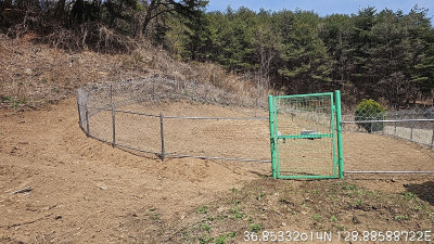 경북 봉화군 묘지 사초