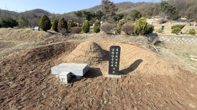 경기 파주시 묘지 사초